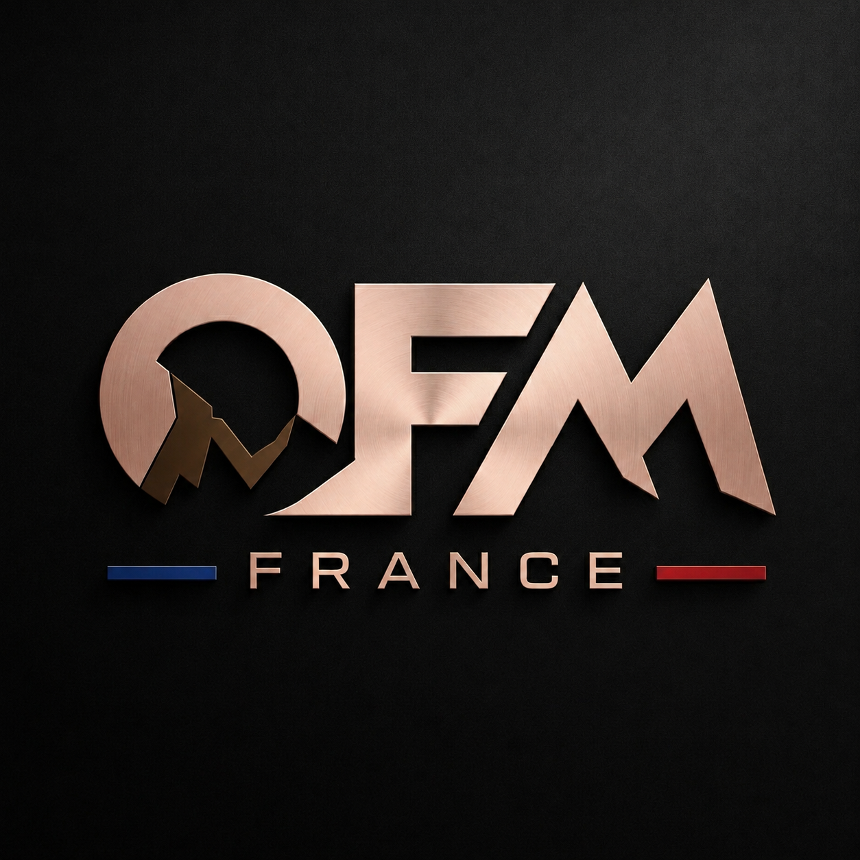 OFM France — Only France Management